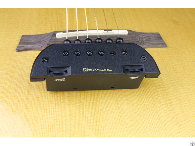 Soundhole Pickup T 903