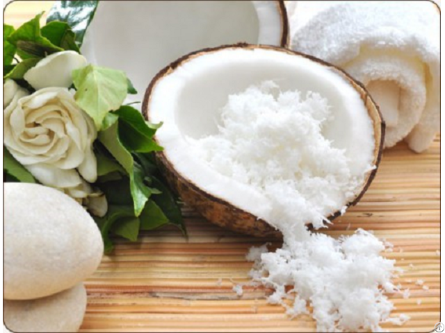 Low And High Fat Desiccated Coconut Vietnam Best Quality