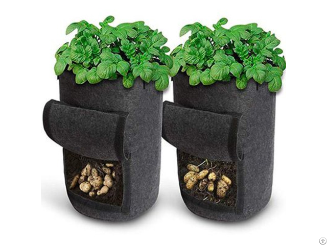 Felt Plant Grow Bag