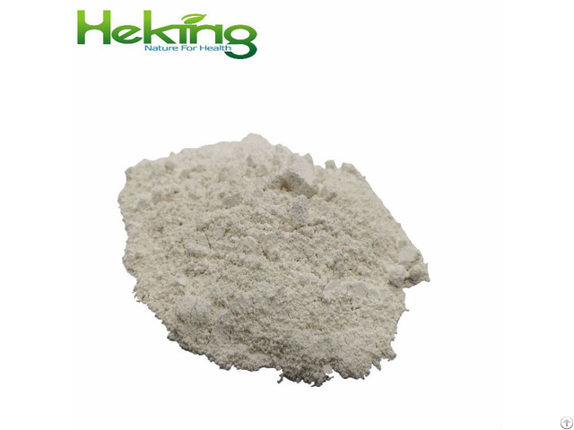 Polygonum Cuspidatum Root Extract 98 Percent Resveratrol