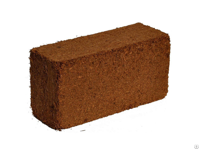 Coco Peat Bricks