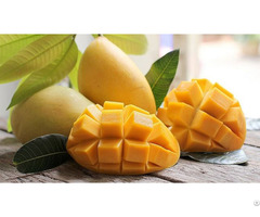 Quality Fresh Natural Fruit Sliced Chunk Pieces Canned Mango In Syrup
