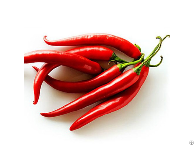 Fresh Chilli Pepper