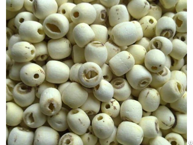 Viet Nam Dried Lotus Seed