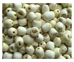 Viet Nam Dried Lotus Seed