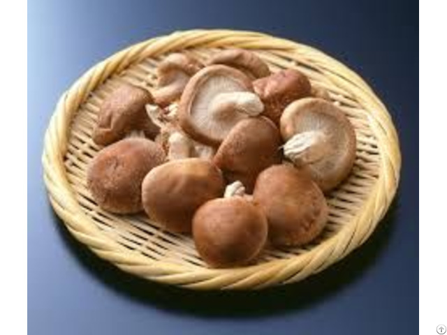 Dried Shiitake Mushrom