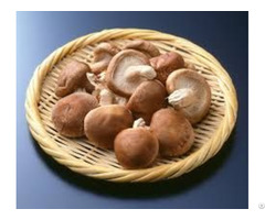 Dried Shiitake Mushrom