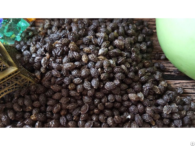 Healthy Food Papaya Seeds