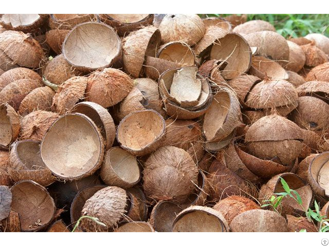 Coconut Shell Raw