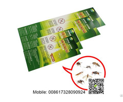 China Bug Insect Killer Stickers Patch Pest Catcher Trap Card