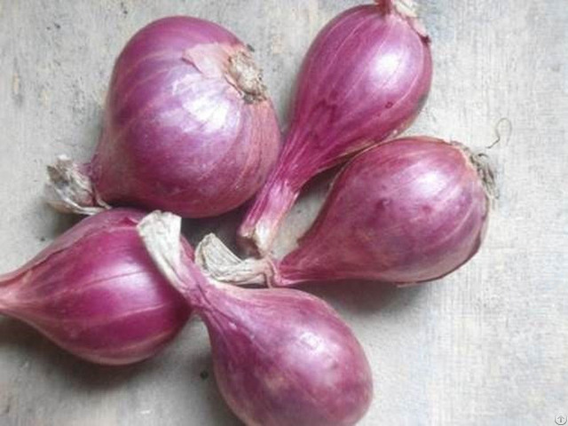 Natural Fresh Non Peeled Red Onion Export