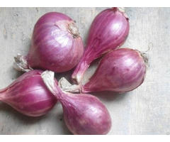 Natural Fresh Non Peeled Red Onion Export