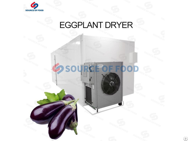 Eggplant Dryer