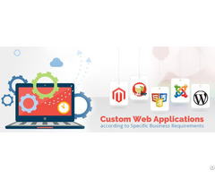 Custom Software Mobile App Design And Development