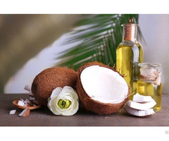 Virgin Coconut Oil Vietnam