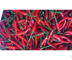 Natural Red Chilli Best Price