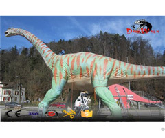 Museum Supply Outdoor Attractive Animatronic Dinosaur Model