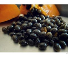 Papaya Seeds For Health