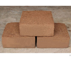 Coco Peat For Plant