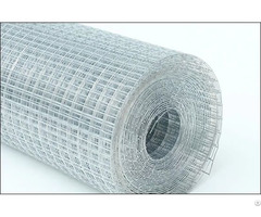 Hot Dipped Galvanized Welded Wire Nets