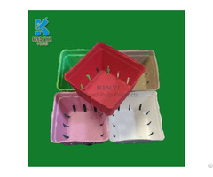 Colorful Paper Pulp Mold Fruit Packaging Box