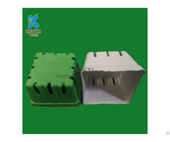 Environmental Paper Pulp Molded Fruit Packaging Tray