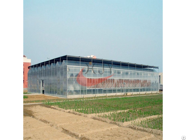 Agricultural Polycarbonate Greenhouse