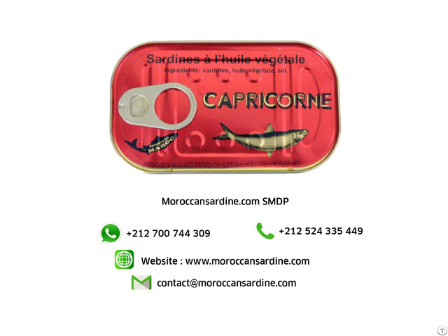 Moroccan Sardines Producers