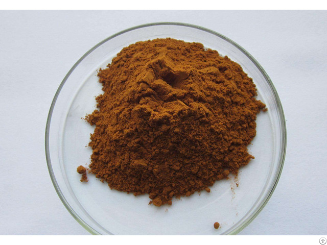 Rhodiola Rosea Extract