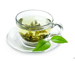 Extract Green Tea