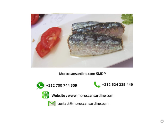 Authentic Moroccan Sardines
