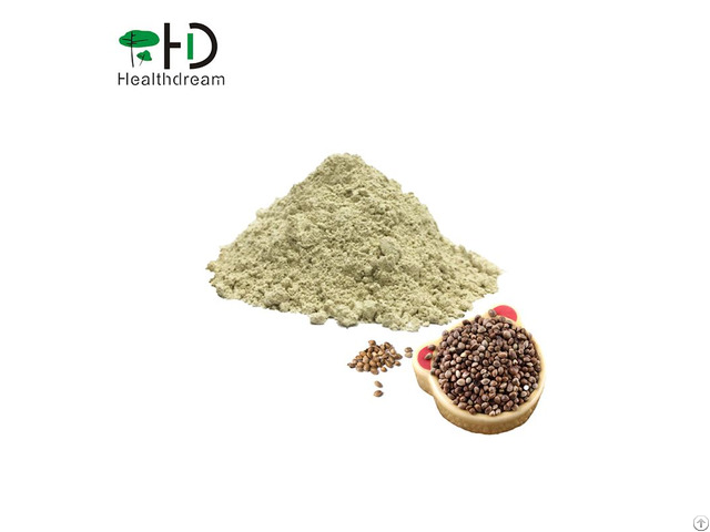 Hemp Protein Powder