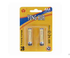 High Power Durable And Long Lasting 1 5v Lr03 Aaa Alkaline Battery