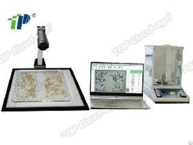 Intelligent Seed Shape Analysis System