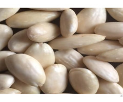 Blanched Almond Kernels