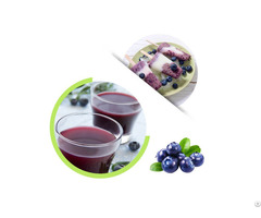Cultivated Blueberry Juice Concentrate