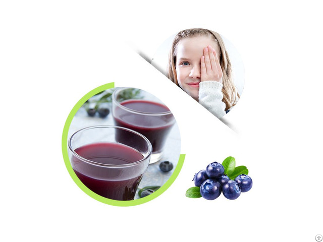 Natural Wild Blueberry 6 Time Juice Concentrate