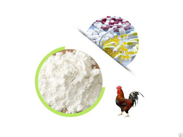 Supply Collagen Type Ii Powder For Health Supplement From Chicken Cattle And Pig