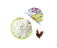 Supply Collagen Type Ii Powder For Health Supplement From Chicken Cattle And Pig