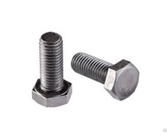 Grade 316 Stainless Steel Bolts