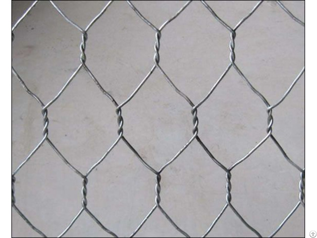 Galvanised And Pvc Coated Hexagonal Hole Wire Mesh