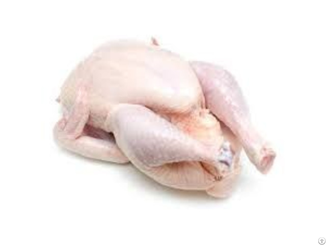 Brazil Best Halal Whole Frozen Chicken Breast Legs Drumsticks For Export