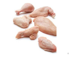 Wholesale Halal Frozen Whole Chicken For Sale At Competitive Prices