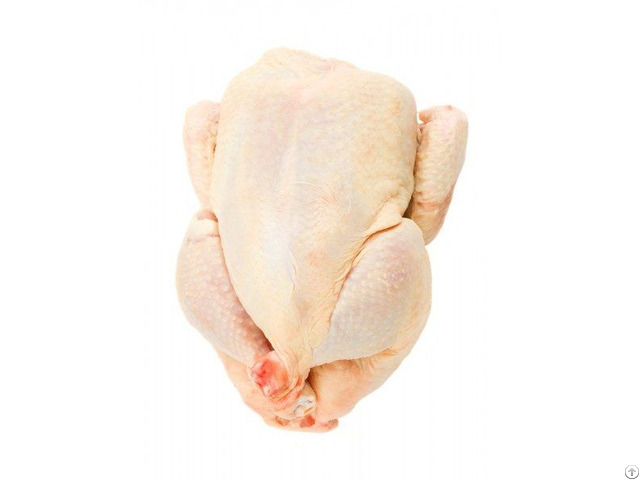 Best Price Brazil Halal Frozen Whole Chicken Ready