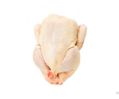 Best Price Brazil Halal Frozen Whole Chicken Ready
