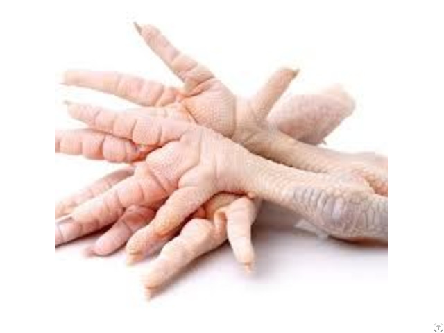 Frozen Chicken Paws Feet Wings Gizzards For Sale