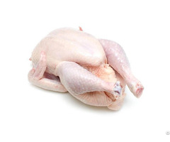 Top Quality Wholesale Halal Frozen Whole Chicken For Sale At Competitive Price