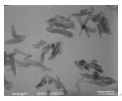 Hydroxyapatite 40nm 96 Percent For Protein Separation