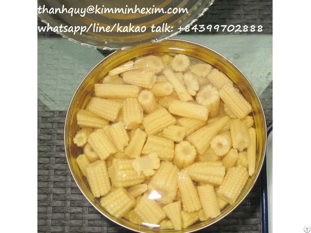 Canned Baby Corn In Brine