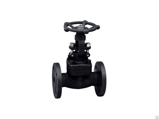 Api Forged Flange Globe Valve